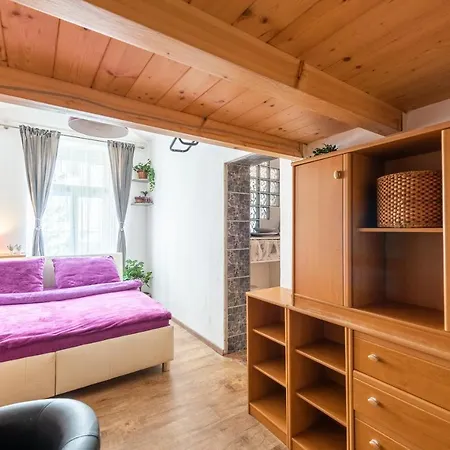 Apartment Zizkov *
