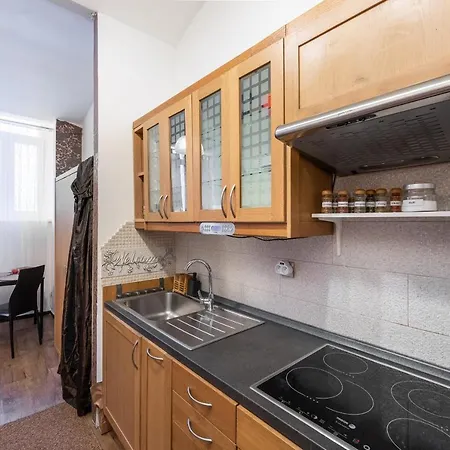 Apartment Zizkov