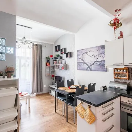 Apartment Zizkov Prague
