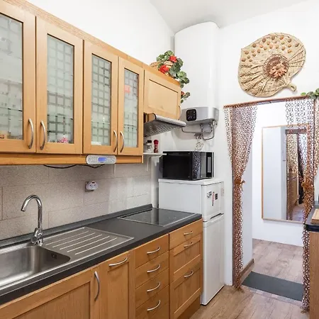 Zizkov Apartment *