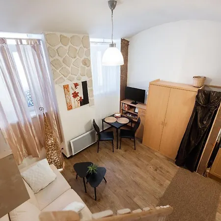 Zizkov Apartment *